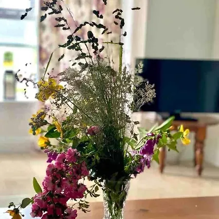 Fionas Thatched Eile * Killarney