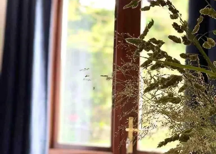 Fionas Thatched Eile 킬라니