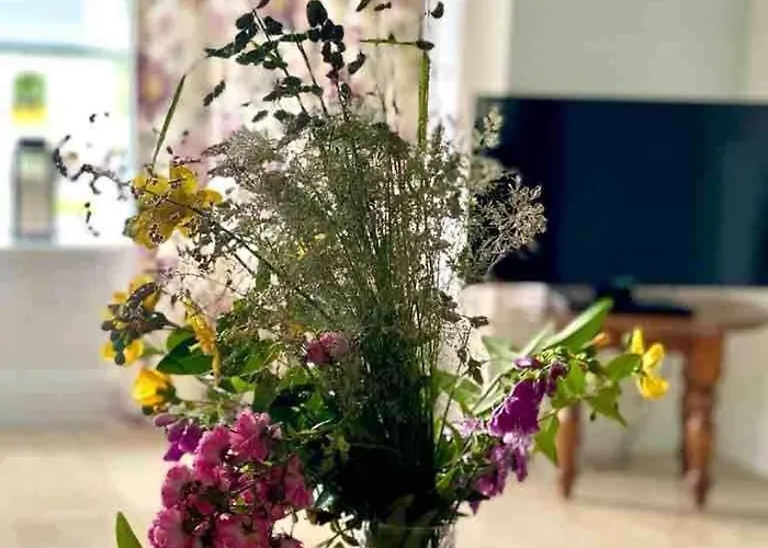 Fionas Thatched Eile * Killarney